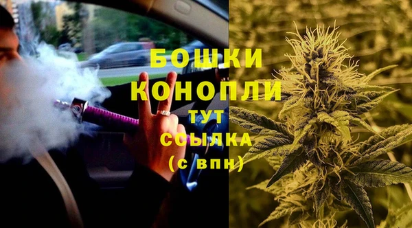 бошки Нея
