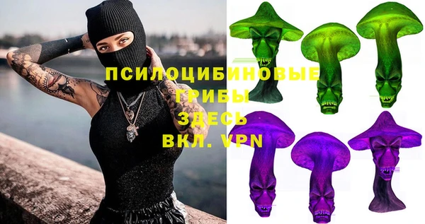 шишки Нефтекумск