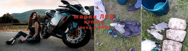 шишки Нефтекумск
