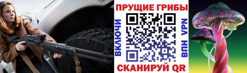 Купить  Полесск  Галлюциногенные грибы Cubensis 